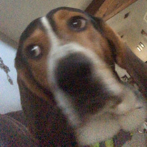 Meet your Posher, Layla